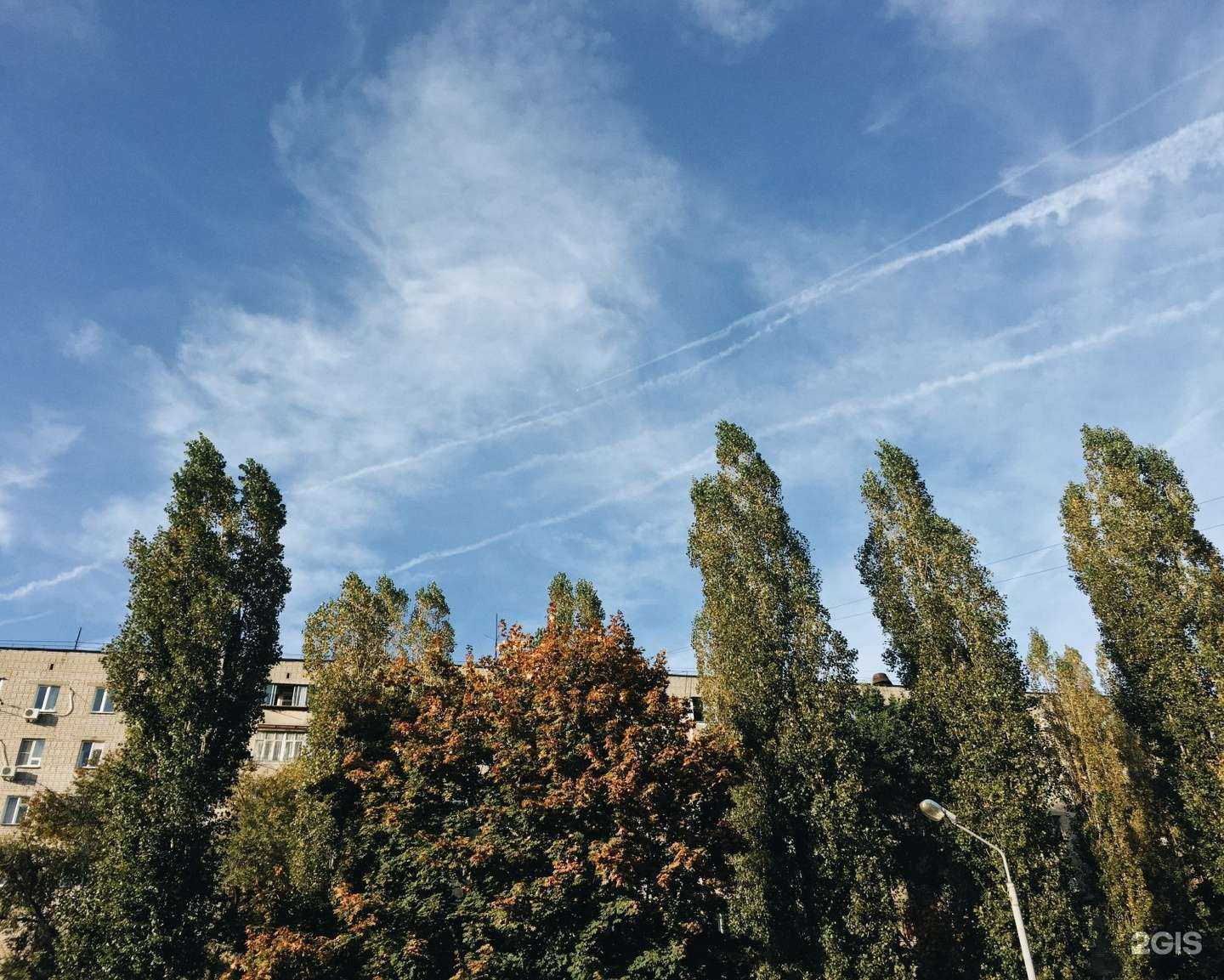 Отзывы на компанию Экона в Воронеже c фото - фотография 2 из 2