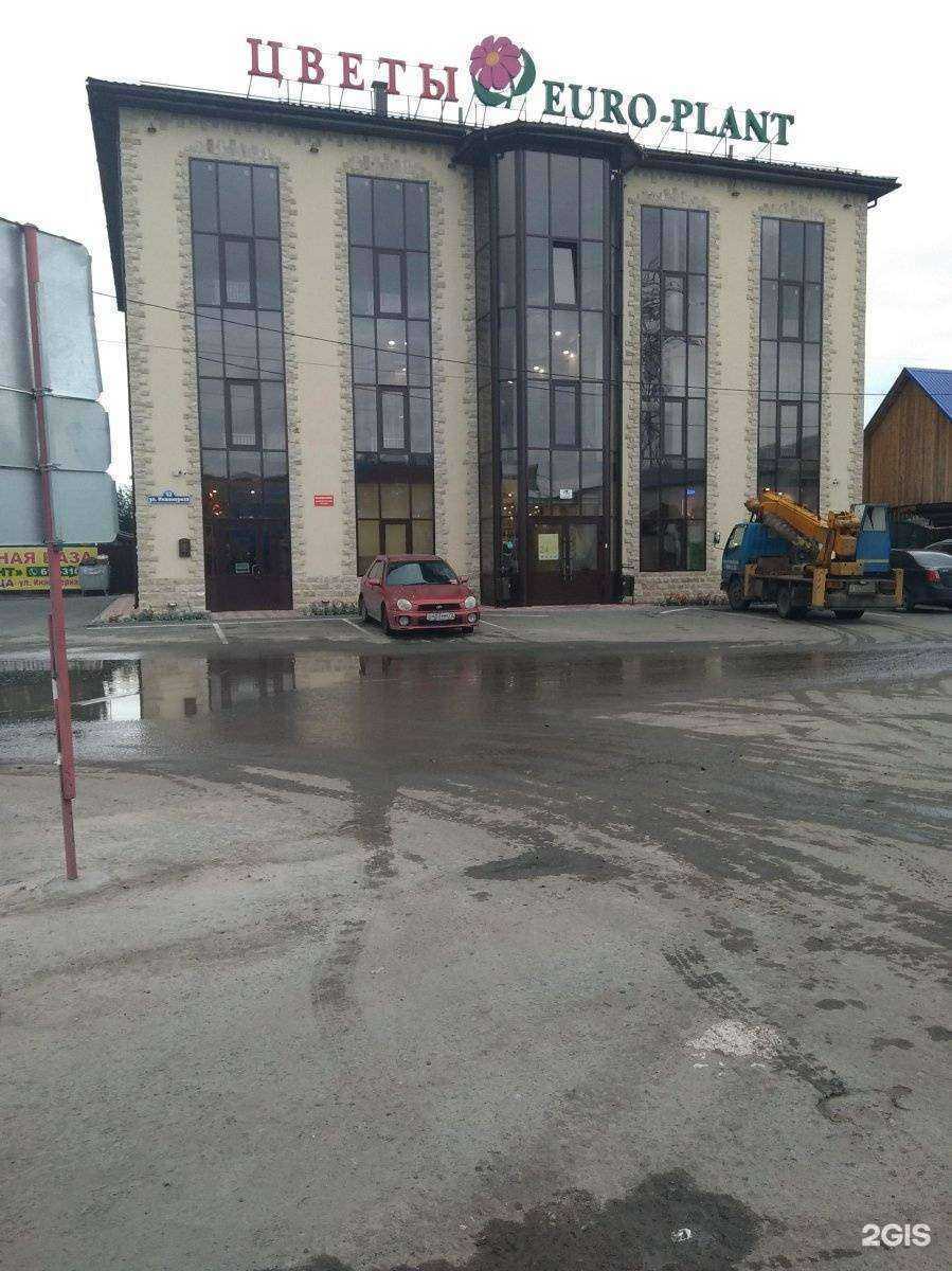 Отзывы на компанию Евро-плант в Тюмени c фото - фотография 2 из 2