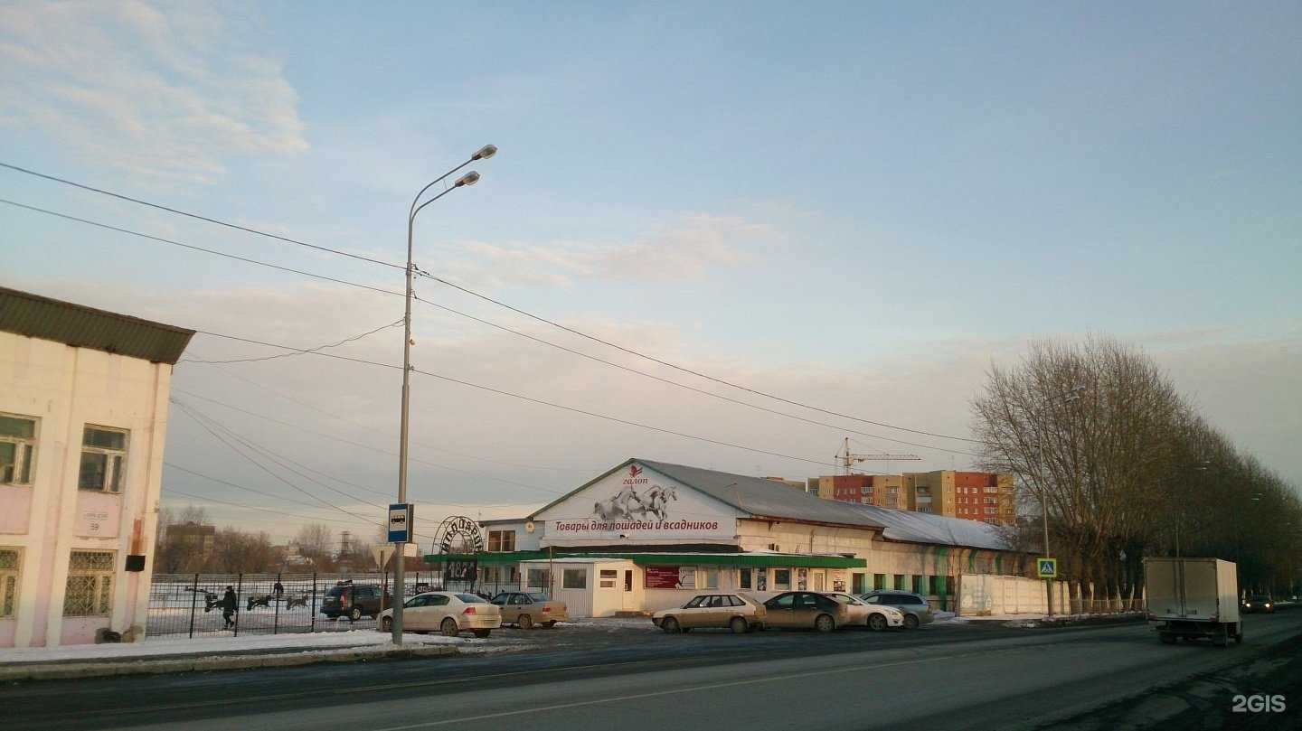 Отзывы на компанию Центр подготовки спортивного резерва и студенческих сборных команд в Тюмени c фото - фотография 2 из 2