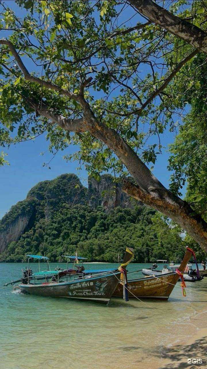 Отзывы на компанию ProTravel в Барнауле c фото