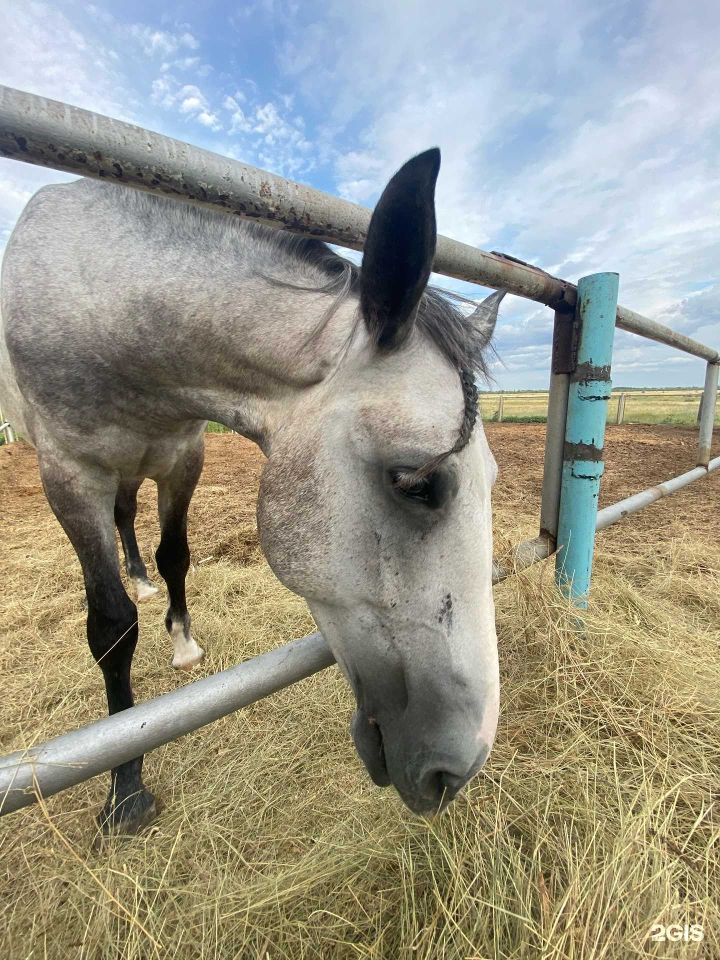Отзывы на компанию Свобода в Орске c фото