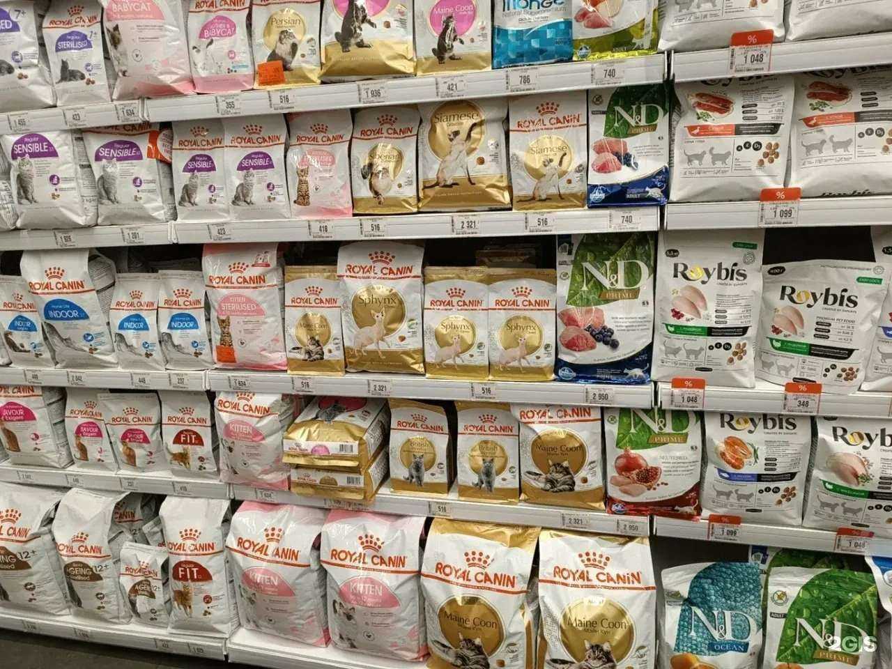 Отзывы на компанию Зоозавр в Екатеринбурге c фото