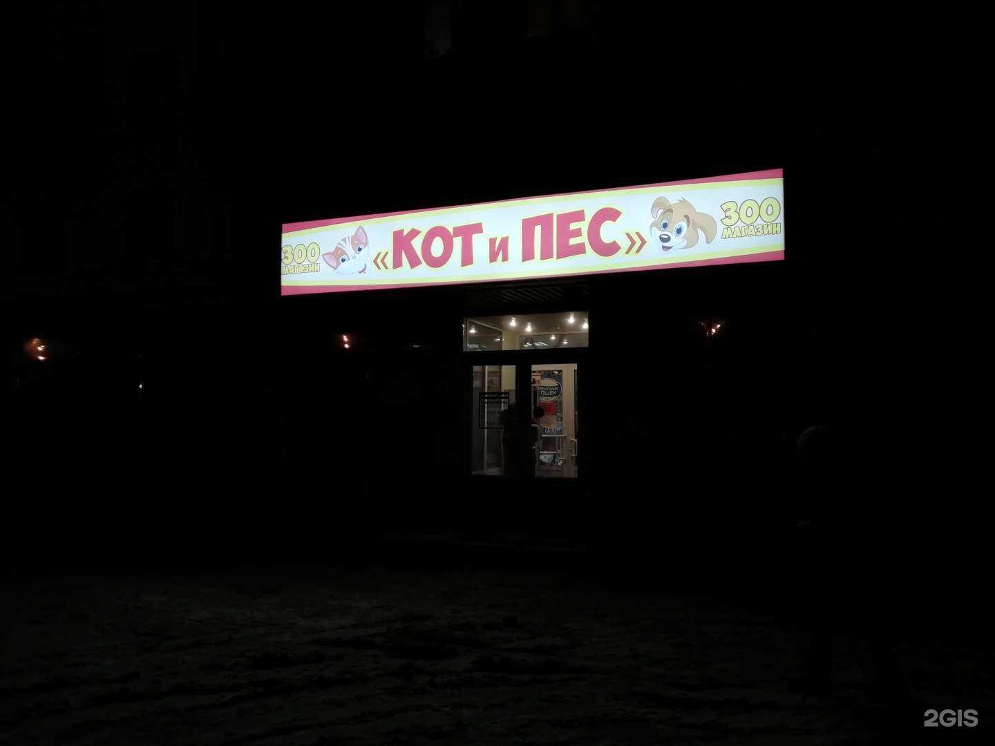 Отзывы на компанию Кот и Пёс в Архангельске c фото