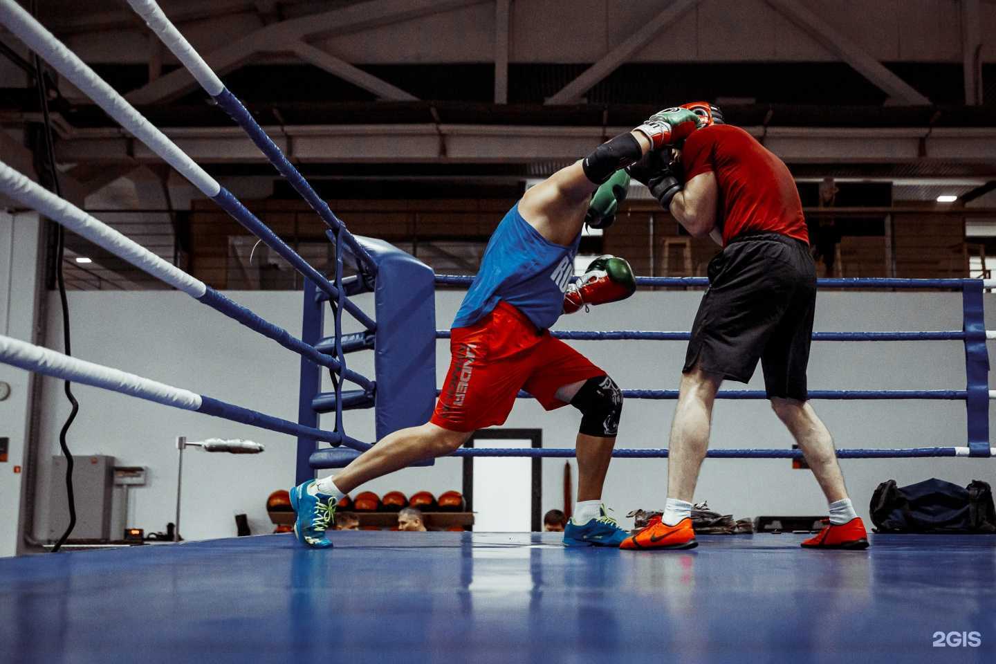 Отзывы на компанию Федерация бокса Тюменской области в г. Тюмень c фото