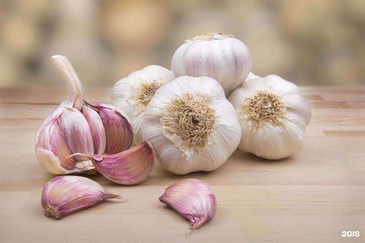 Отзывы на компанию Росток в Екатеринбурге c фото