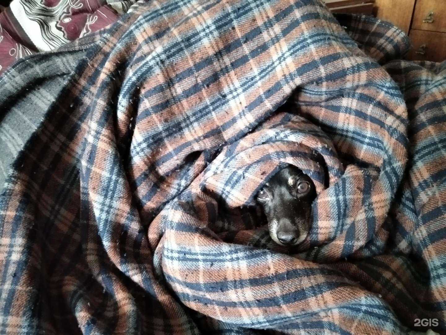 Отзывы на компанию Альянс-М в г. Магнитогорск c фото