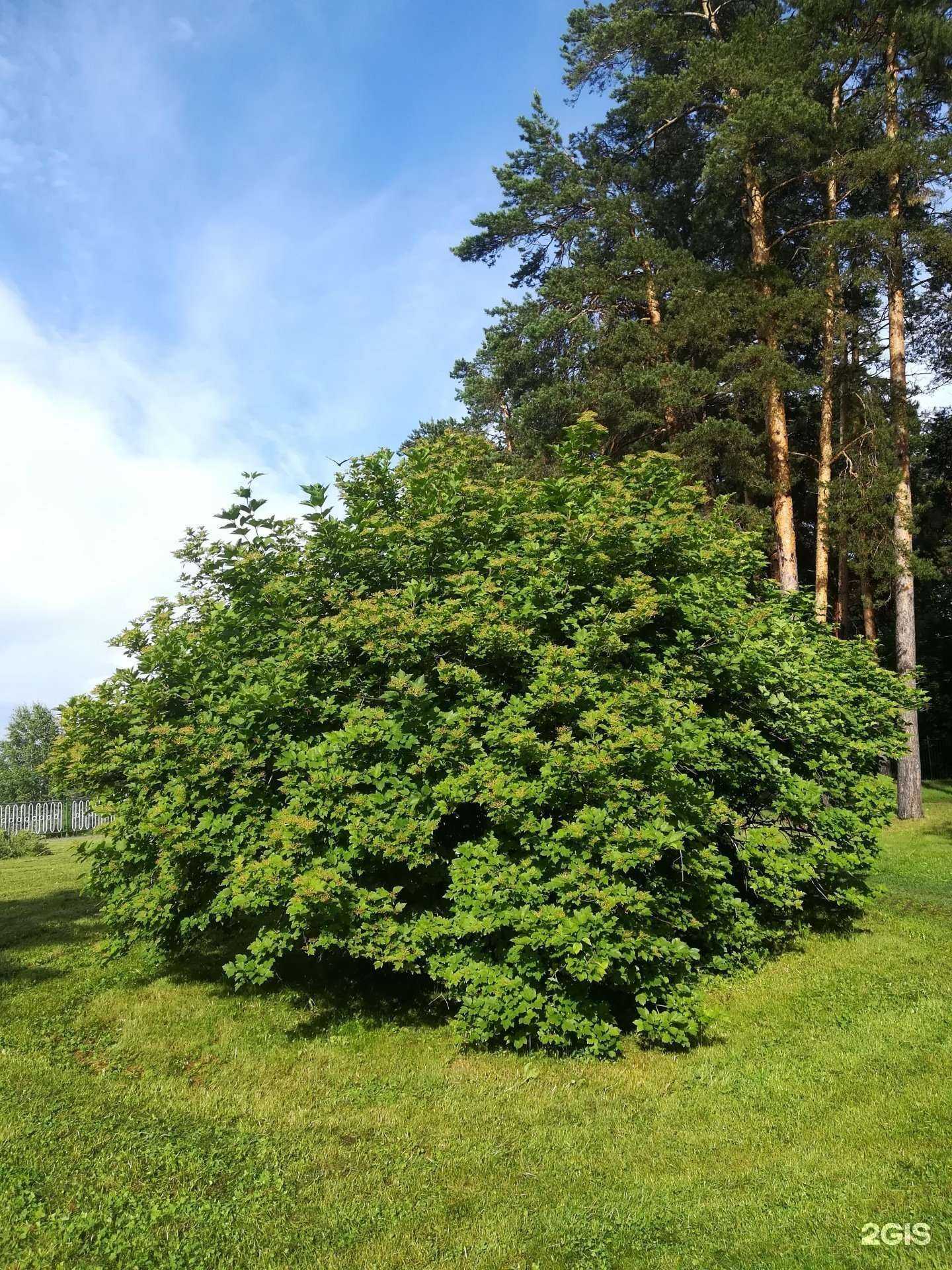 Отзывы на компанию TeamTop в Бердске c фото - фотография 2 из 2