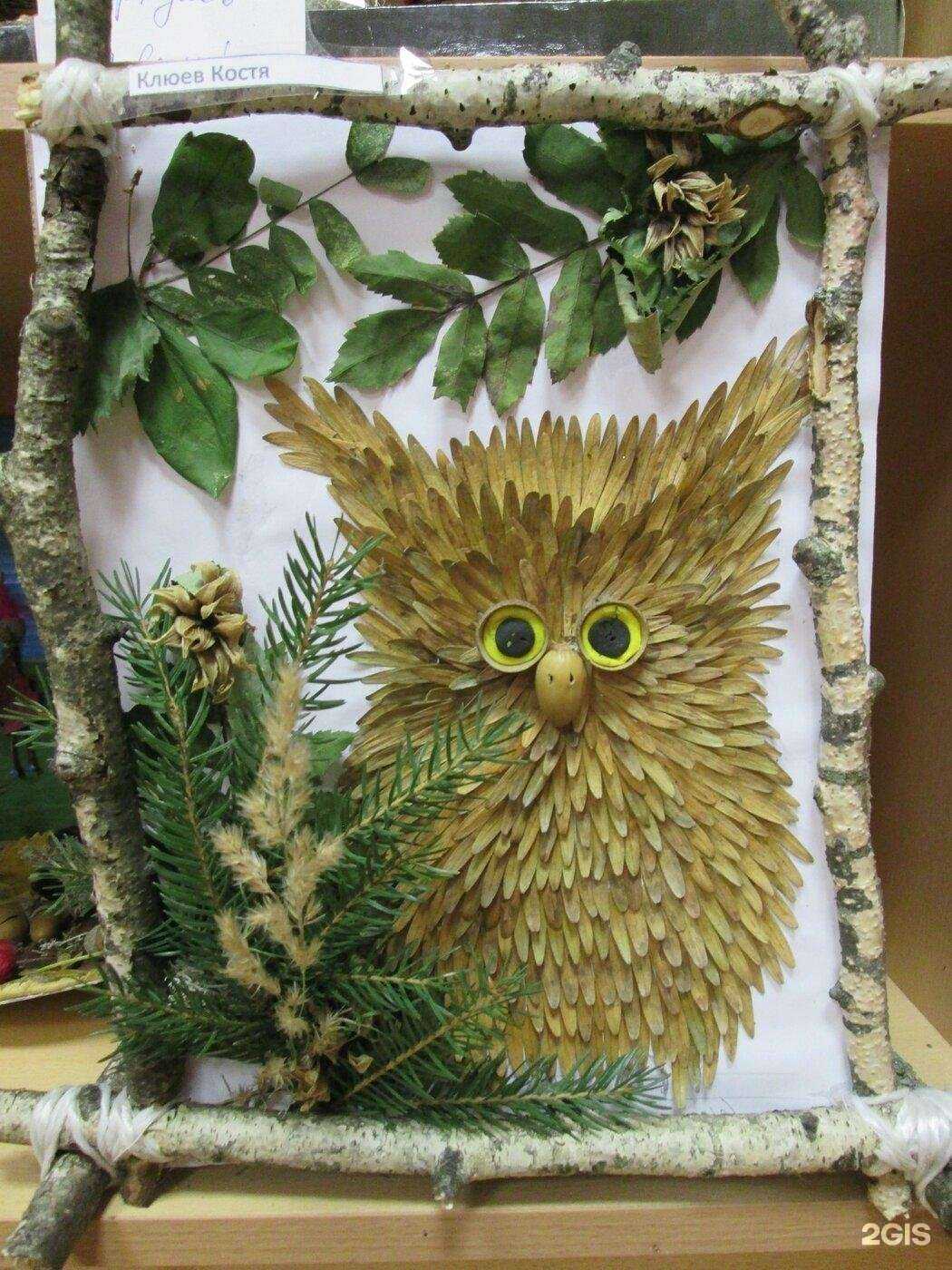 Отзывы на компанию Детский сад №65 в Твери c фото