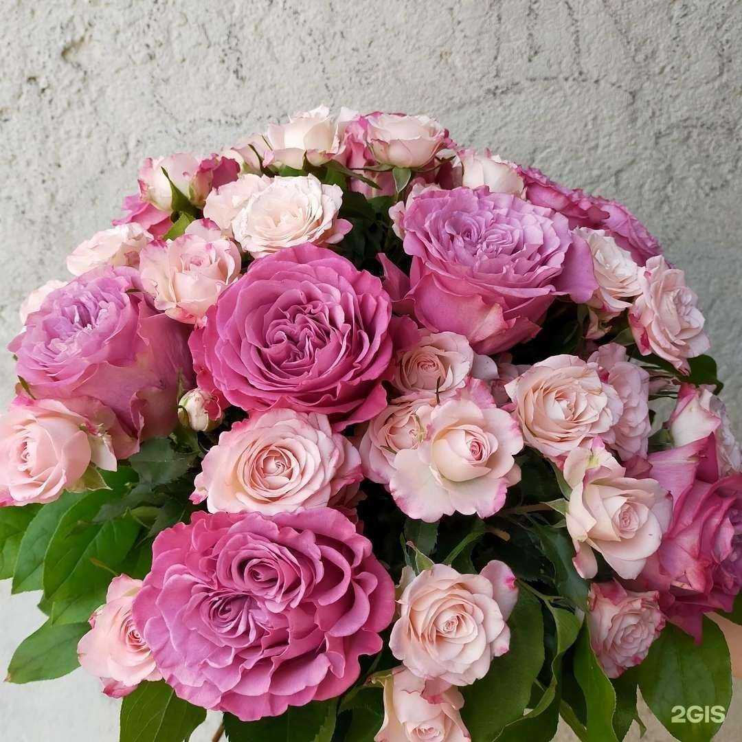 Отзывы на компанию Лора в Пущине c фото