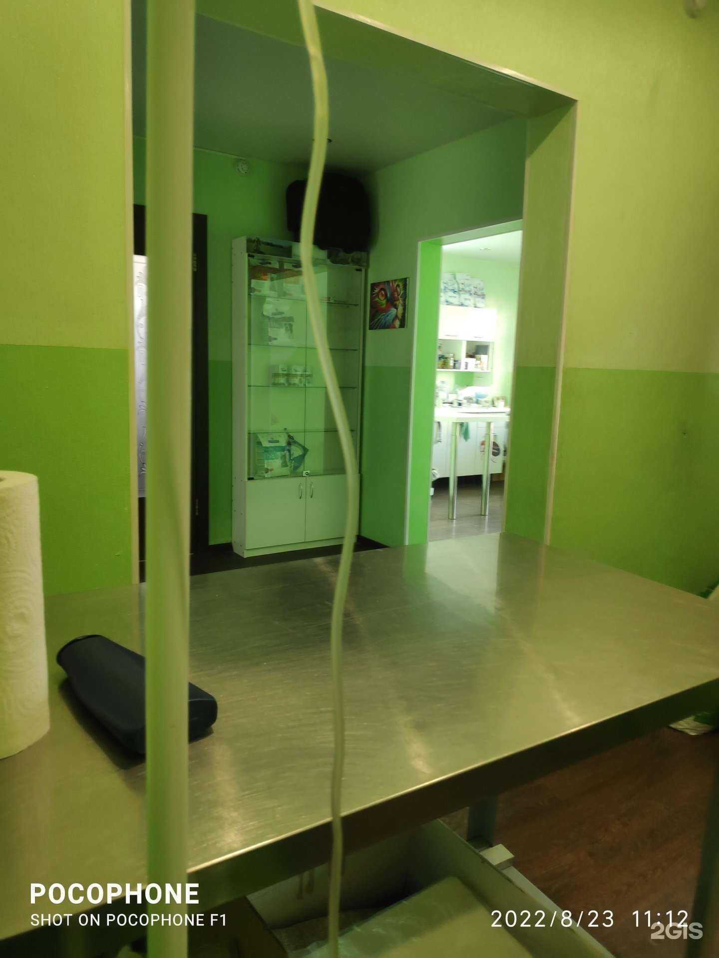 Отзывы на компанию Алиса в Кемерове c фото