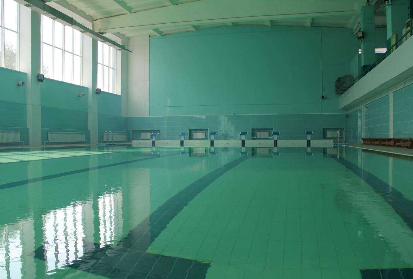 Отзывы на компанию Торпедо в Ульяновске c фото