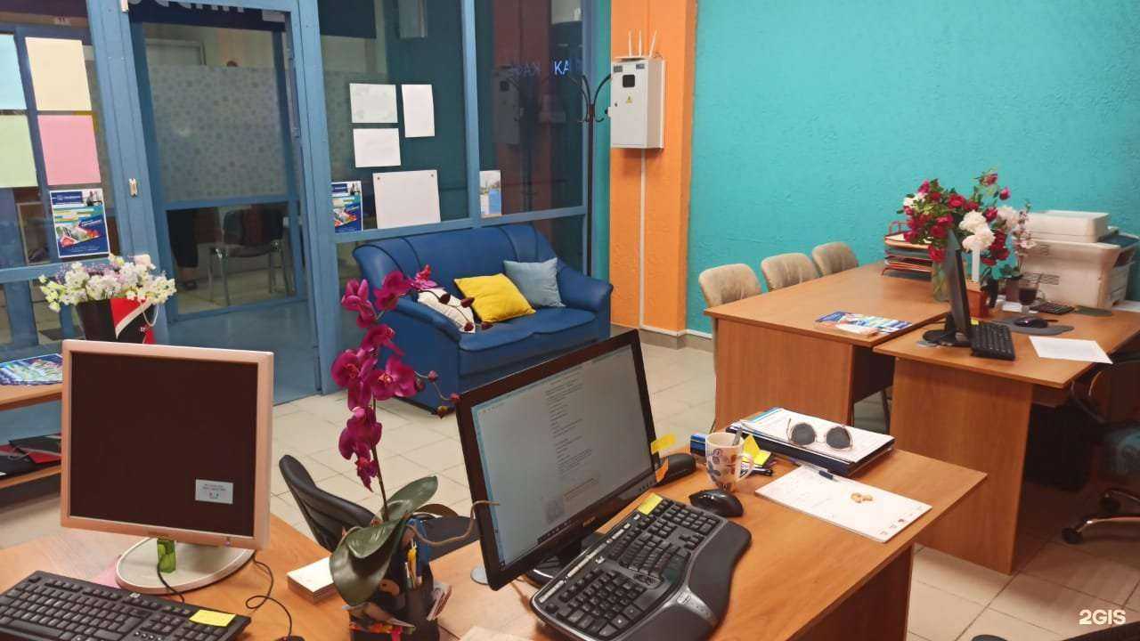 Отзывы на компанию Магнат в Пушкине c фото