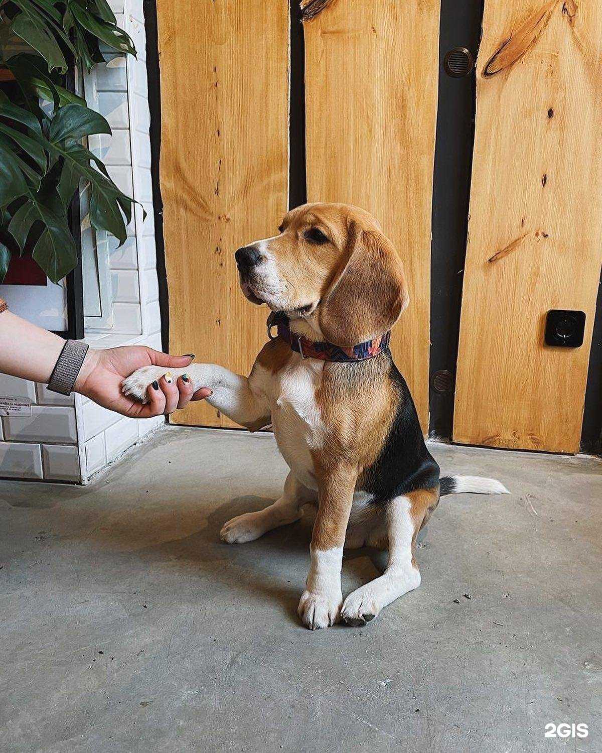 Отзывы на компанию Surf Coffee x Soborniy в Ростове-на-Дону c фото