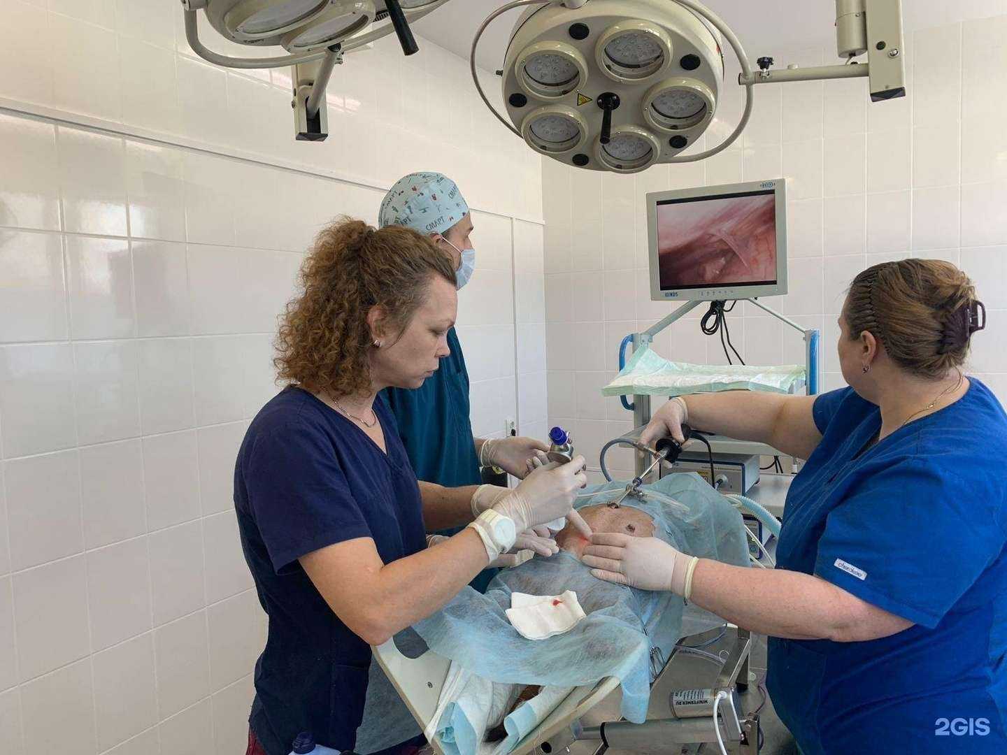 Отзывы на компанию Республиканский центр ветеринарии и консультирования в г. Петрозаводск c фото