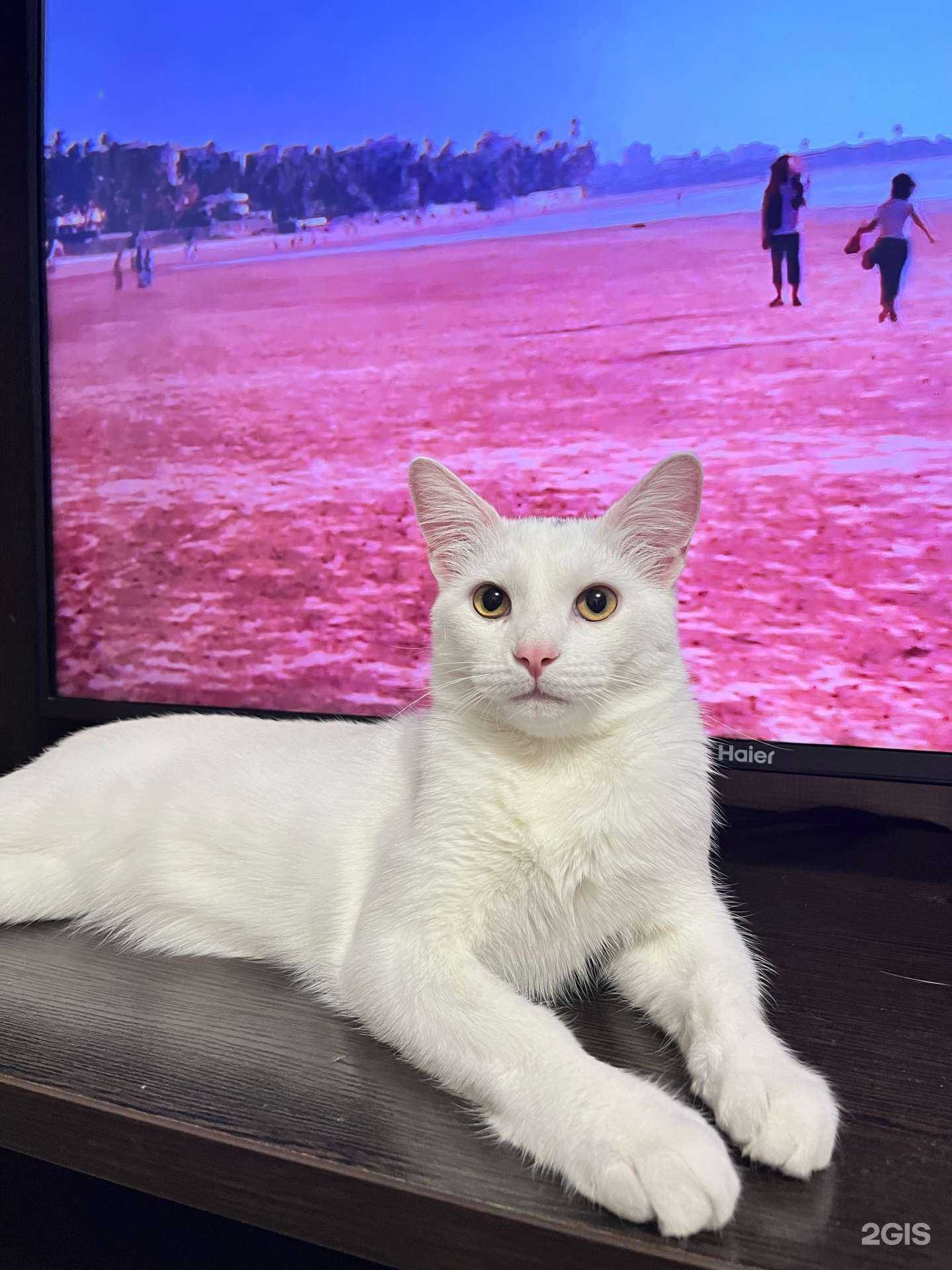 Отзывы на компанию Барс в Новороссийске c фото