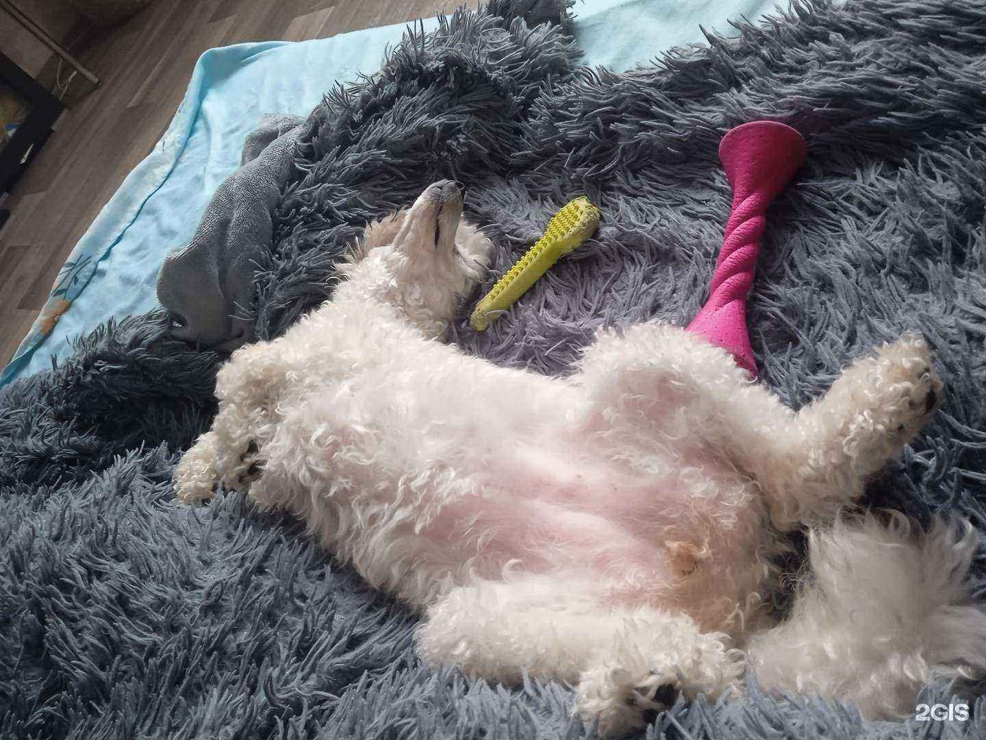 Отзывы на компанию Аргос в г. Новокузнецк c фото