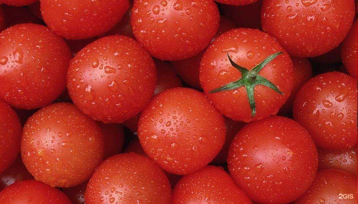 Отзывы на компанию Торговый павильон в г. Пенза c фото