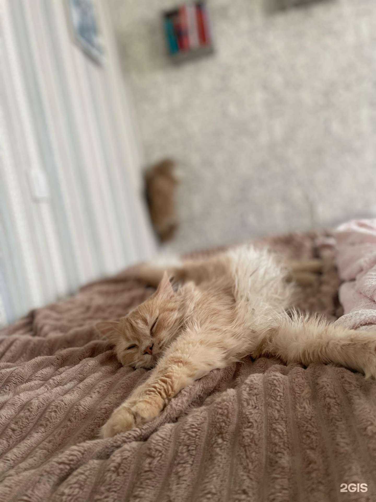 Отзывы на компанию Белый уc в г. Краснодар c фото