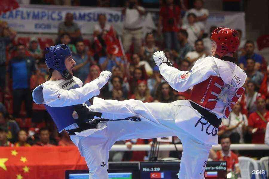 Отзывы на компанию Tkd24 в г. Красноярск c фото
