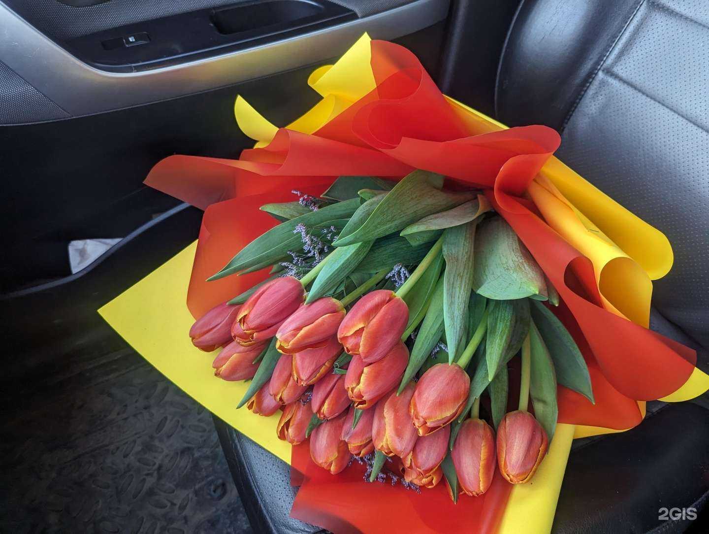 Отзывы на компанию Adonis в Лениногорске c фото