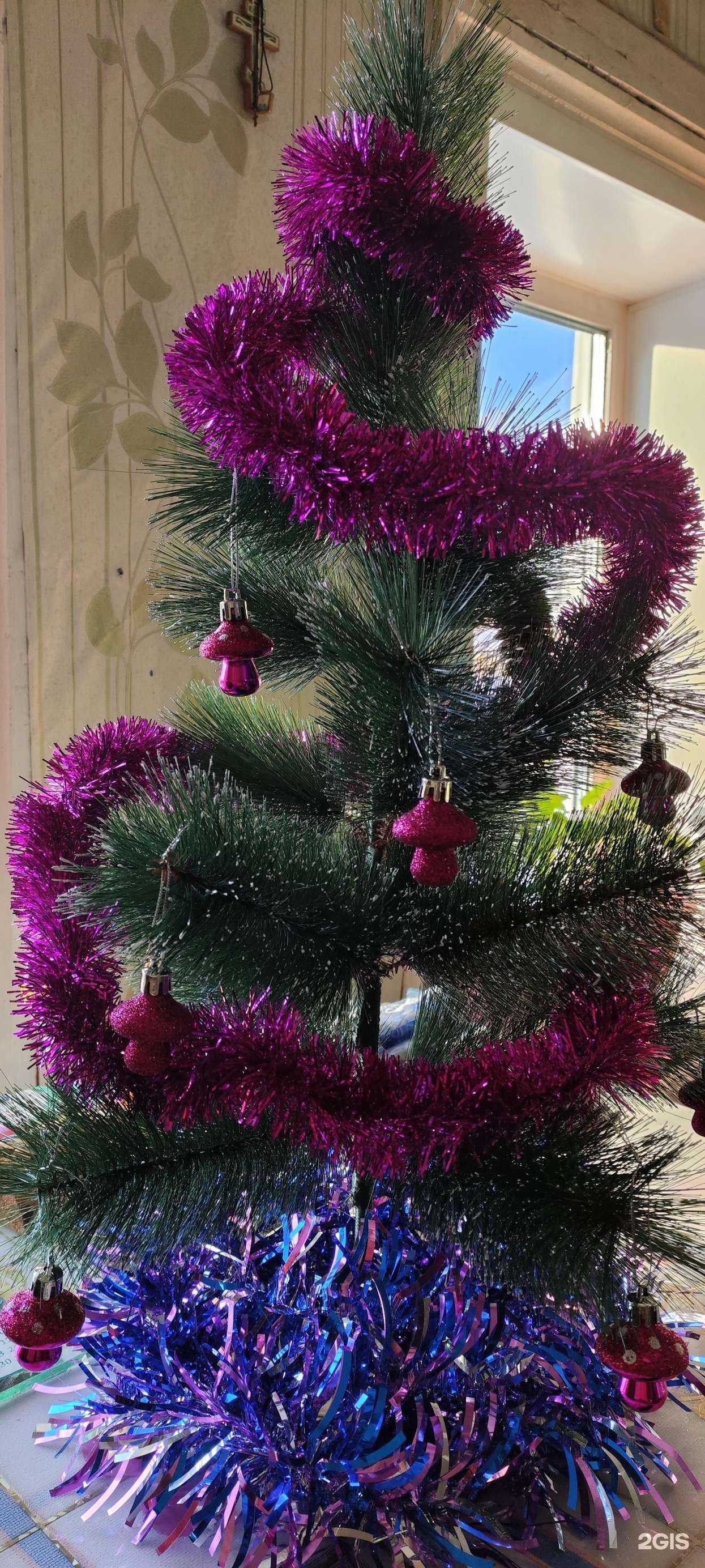 Отзывы на компанию Цезарь в Кирове c фото - фотография 2 из 2