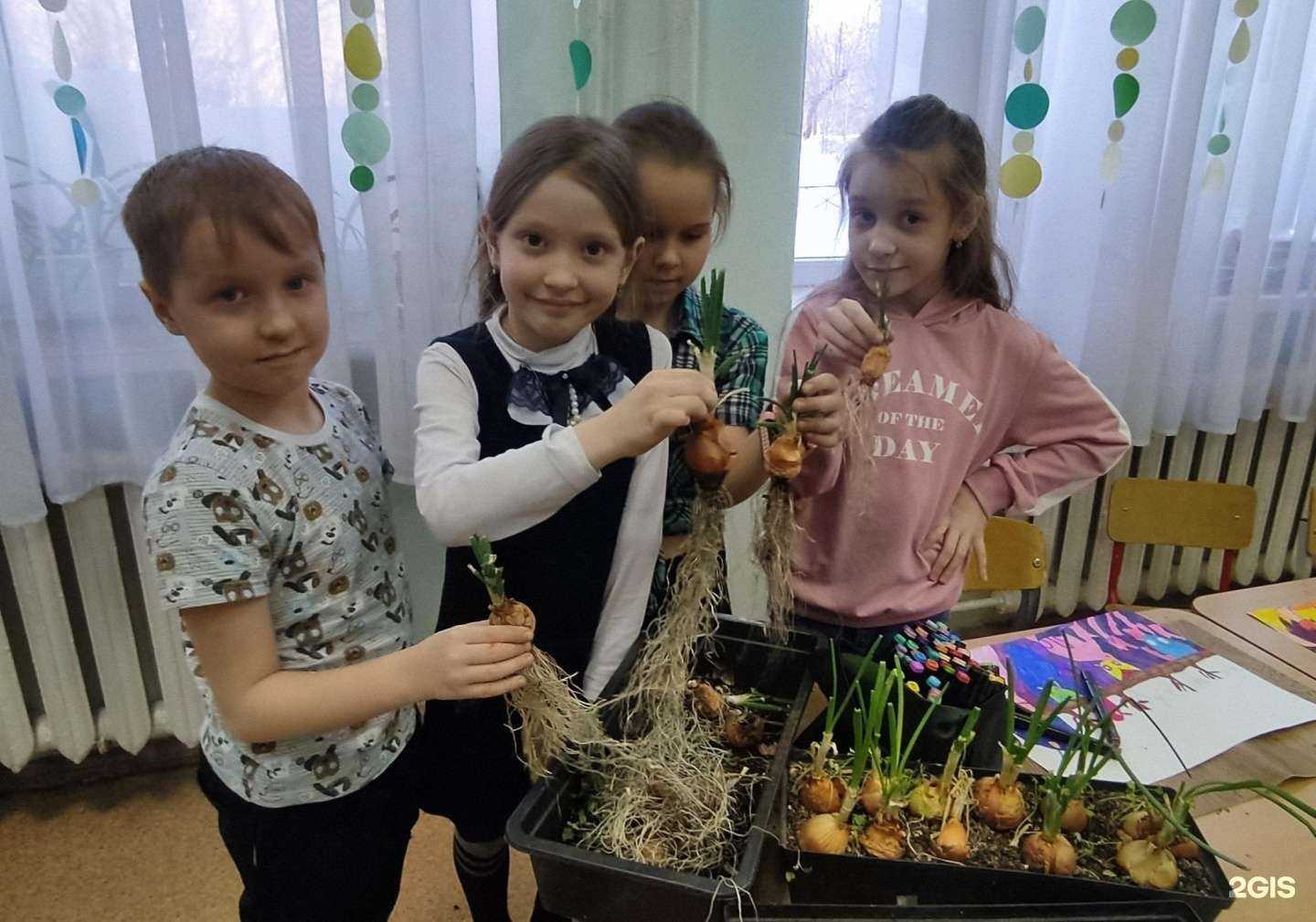 Отзывы на компанию Максимум в г. Магнитогорск c фото