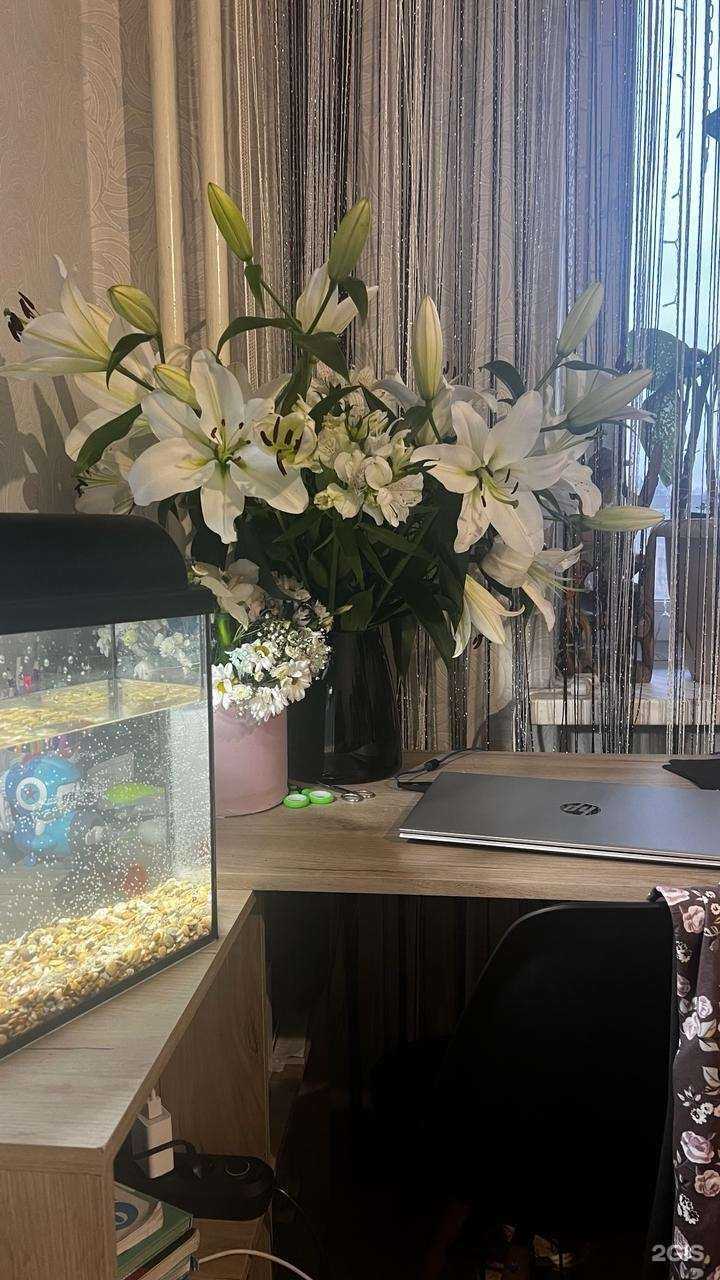 Отзывы на компанию Мир цветов в Иркутске c фото