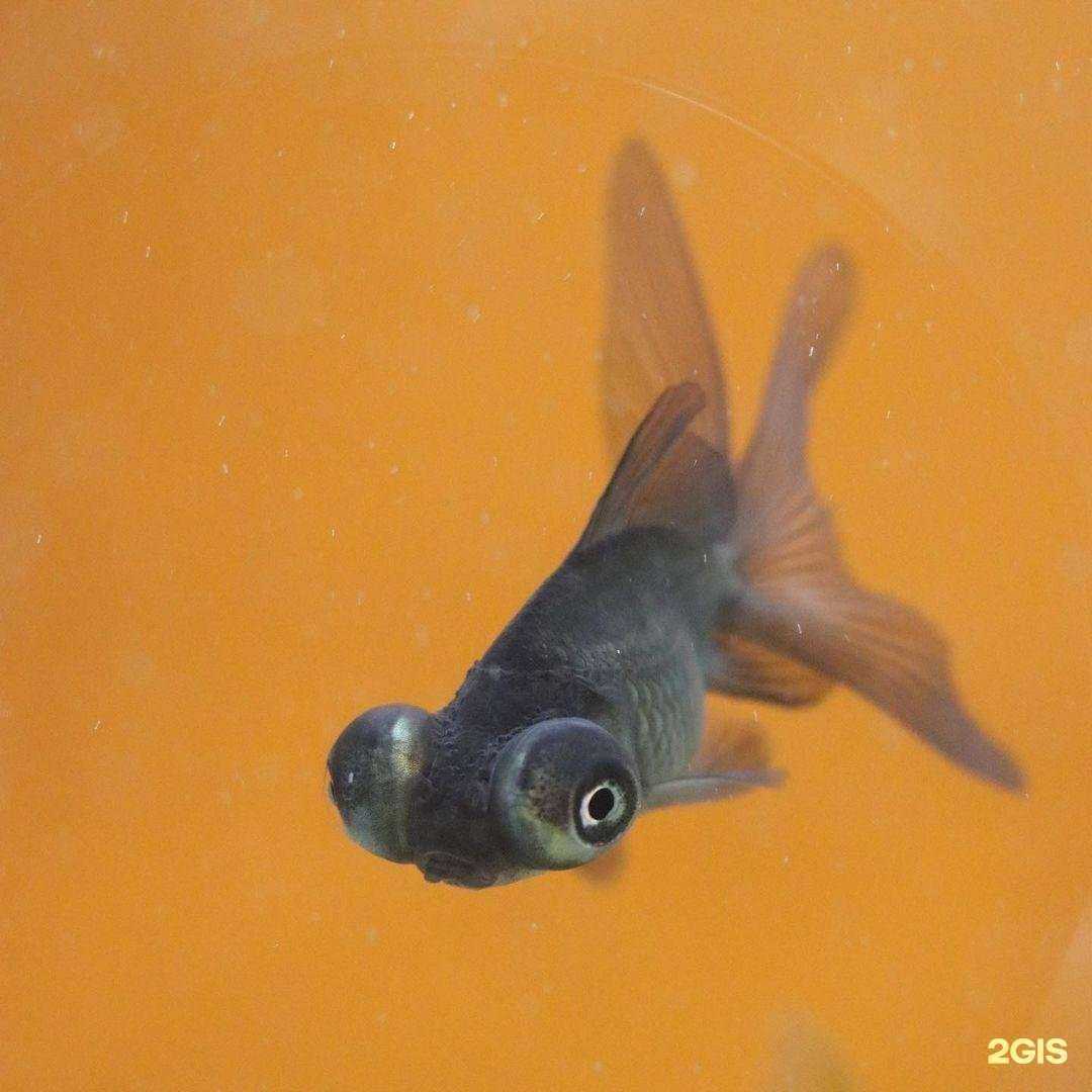 Отзывы на компанию Заповедник в Екатеринбурге c фото