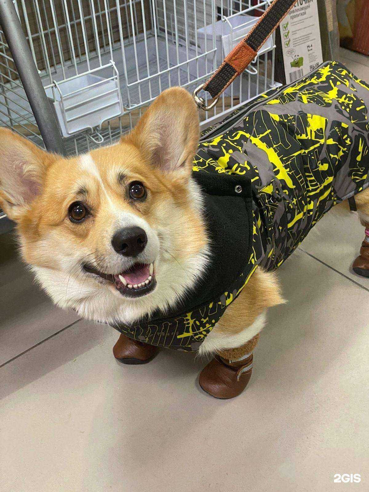 Отзывы на компанию Все для ваших любимцев в Иркутске c фото