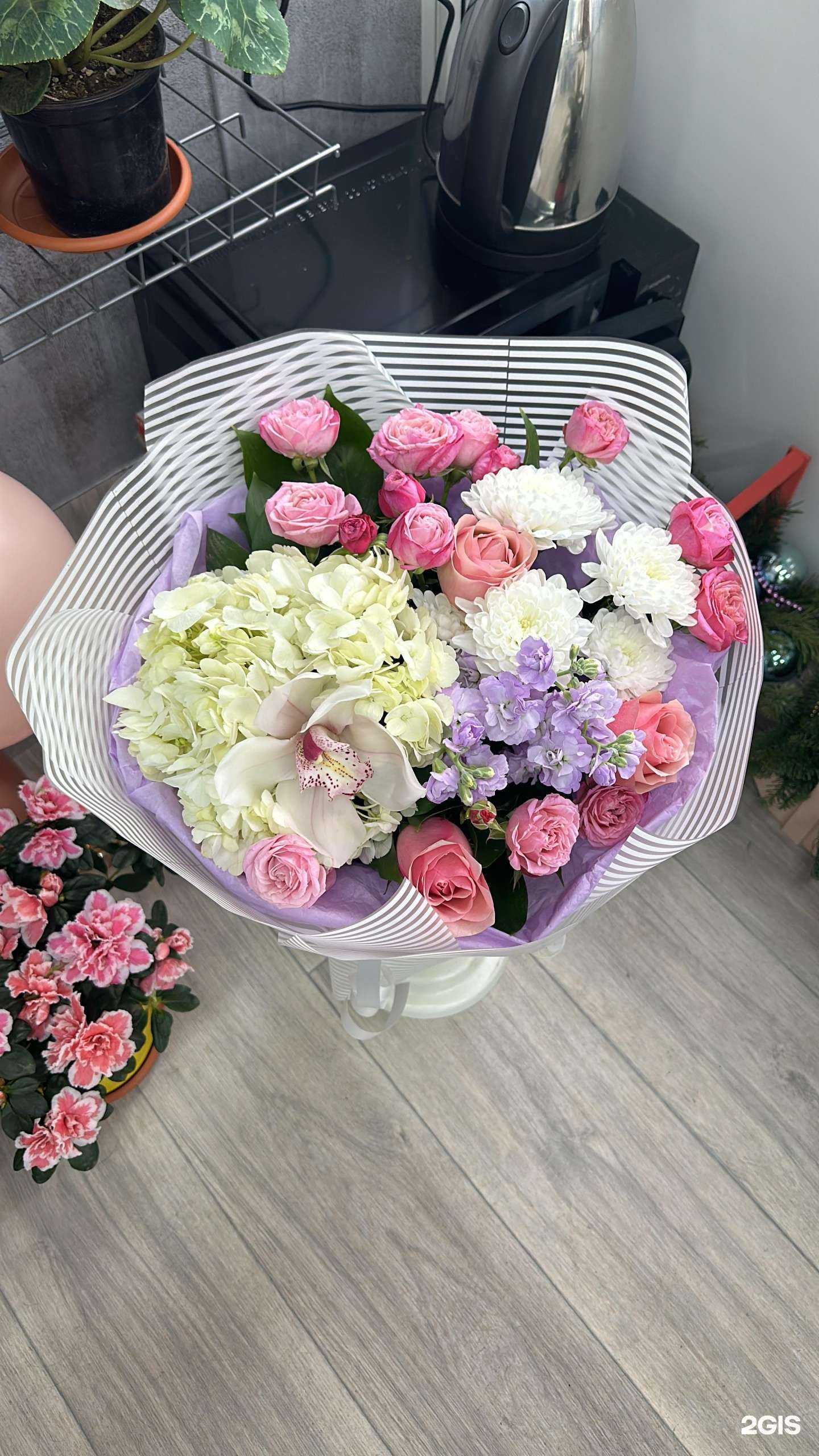 Отзывы на компанию Чёрная орхидея в Астрахани c фото