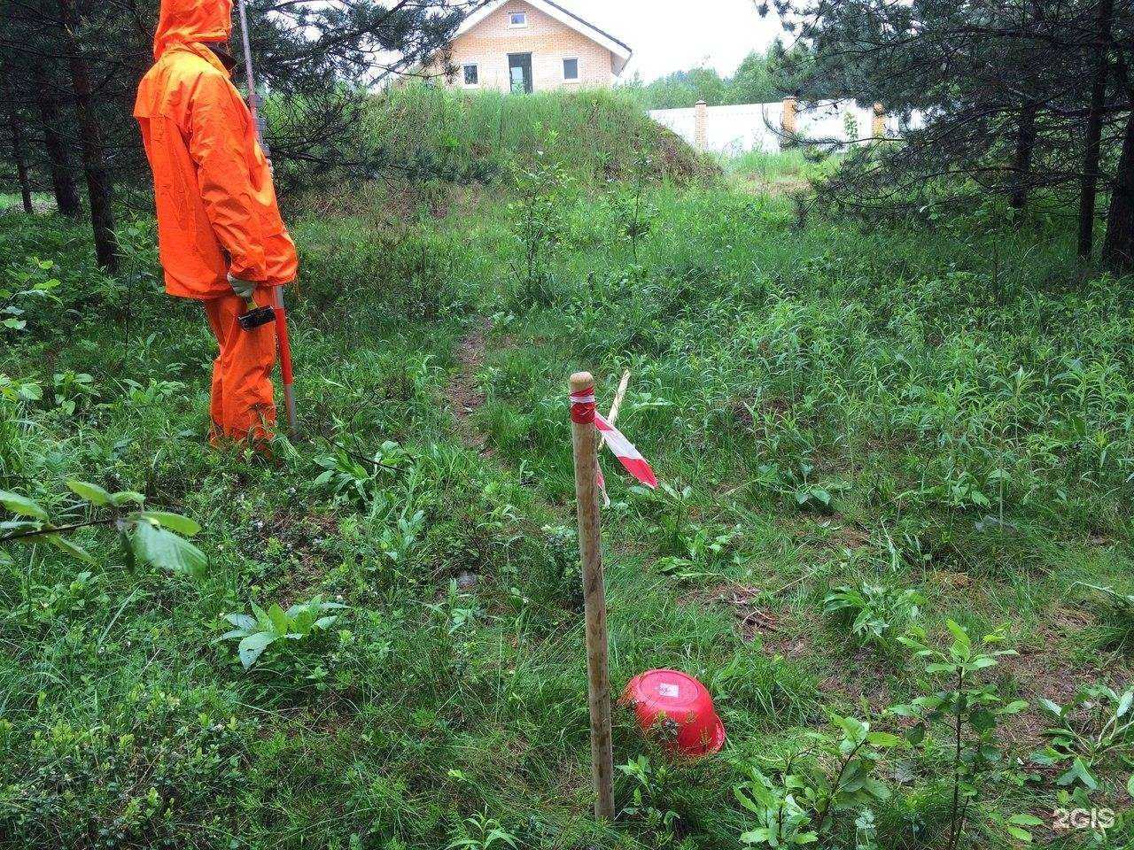 Отзывы на компанию Районная геодезическая компания в г. Всеволожск c фото