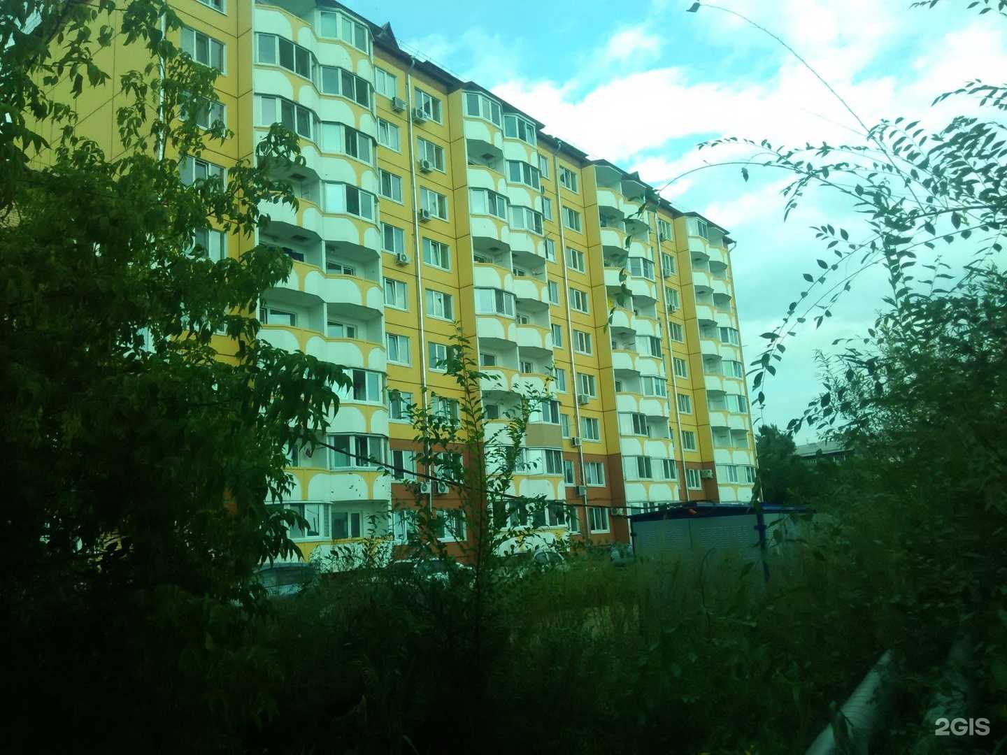 Отзывы на компанию Федерация каратэ Уссурийского городского округа в Уссурийске c фото - фотография 2 из 2