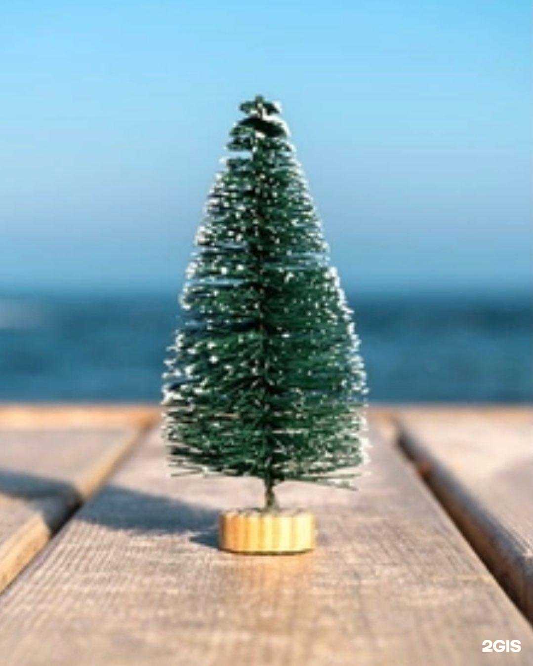 Отзывы на компанию Траст тур в г. Красноярск c фото