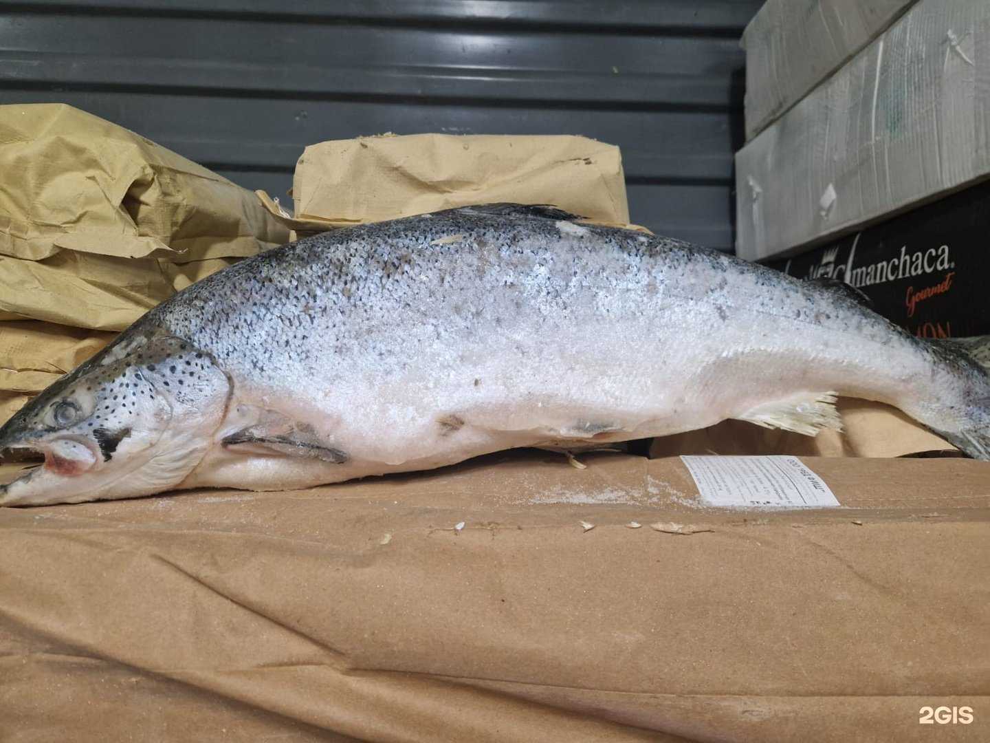 Отзывы на компанию Кватра в Томске c фото