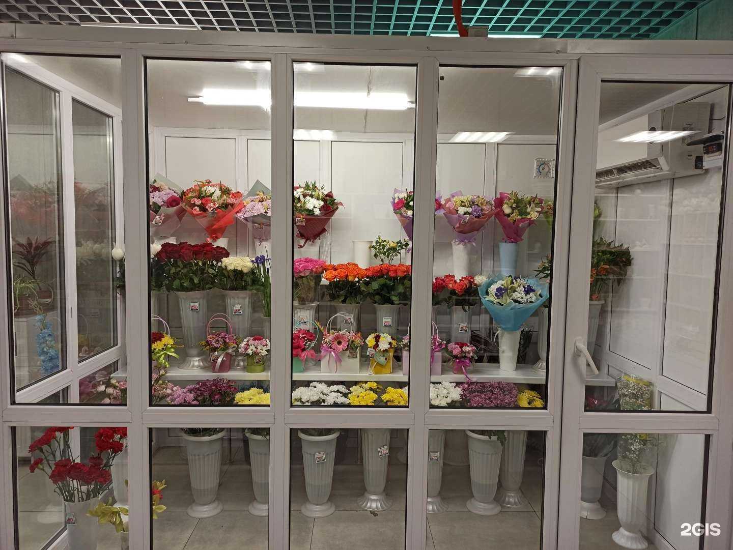 Отзывы на компанию Камелия в Екатеринбурге c фото