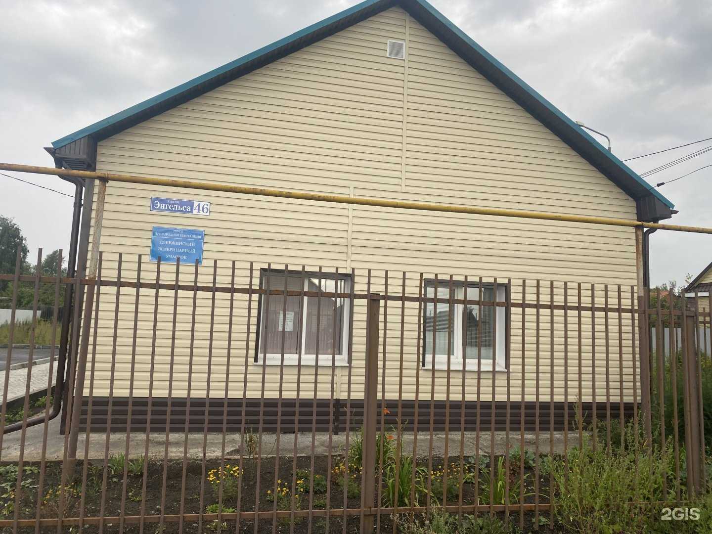 Отзывы на компанию Дзержинская участковая ветеринарная лечебница в Нижнем Тагиле c фото