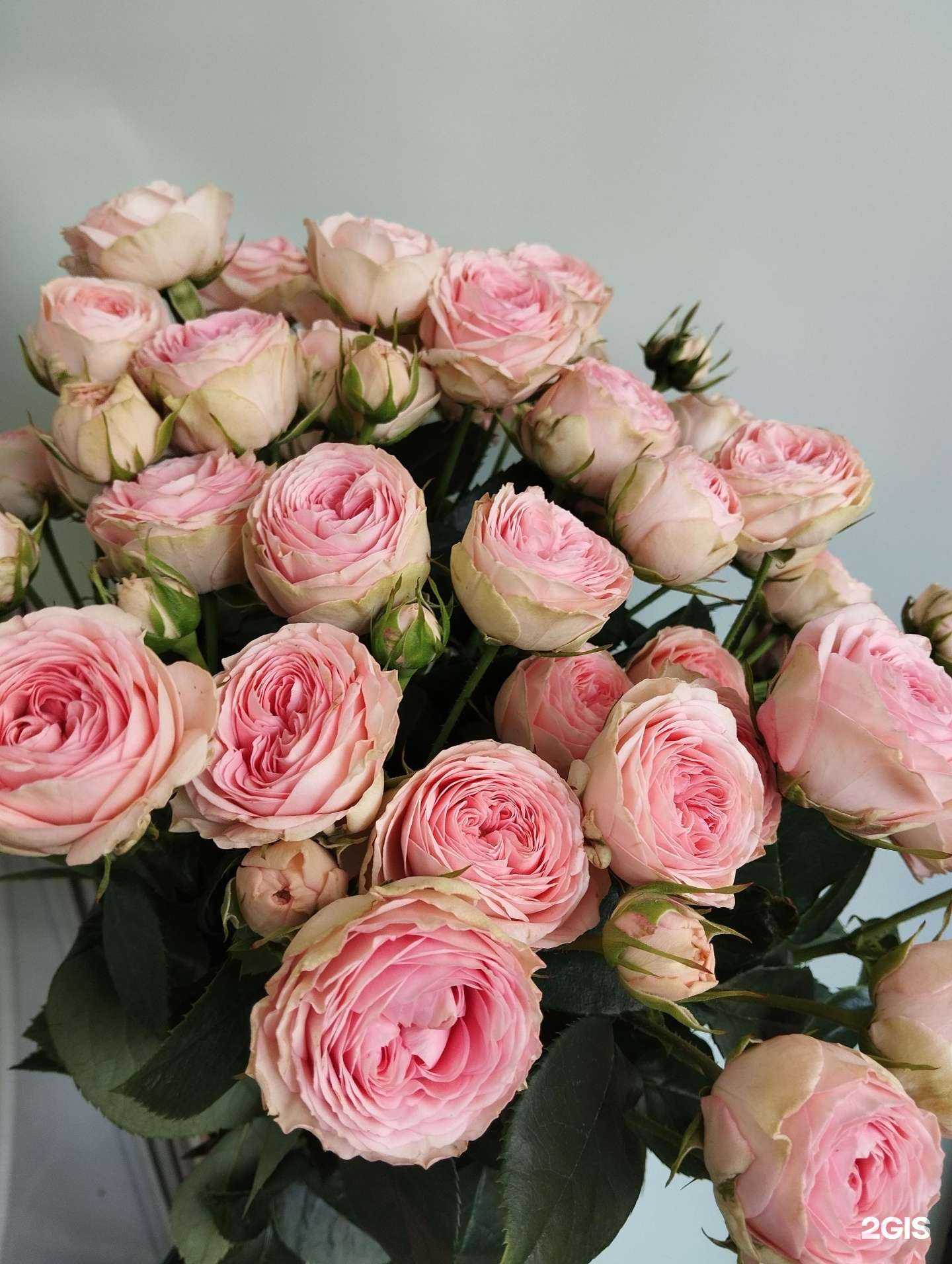 Отзывы на компанию Здесь букет в г. Краснодар c фото