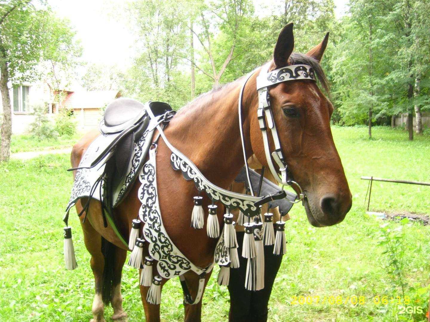 Отзывы на компанию Орловская в Кирове c фото