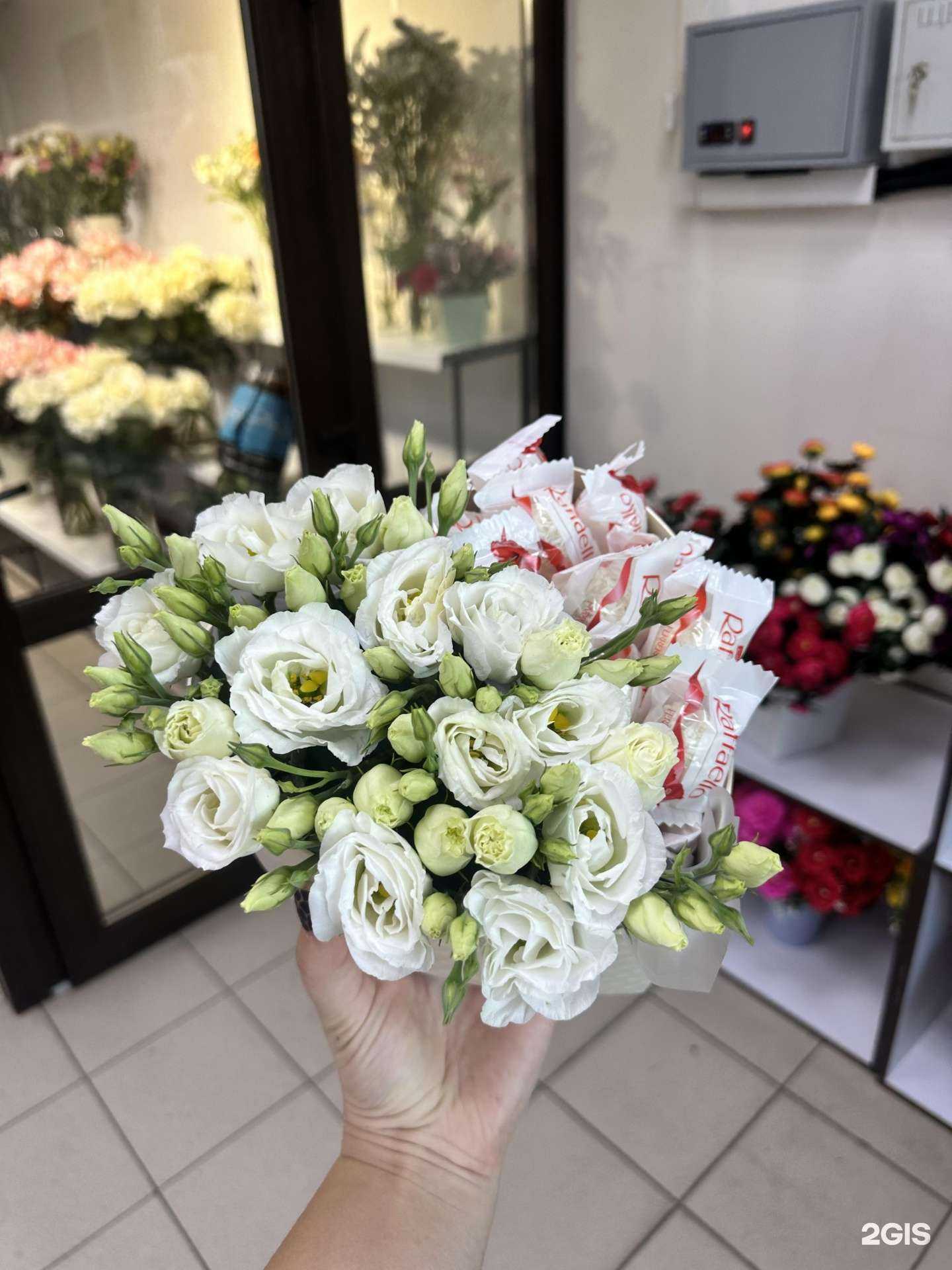 Отзывы на компанию Камелия в Минусинске c фото