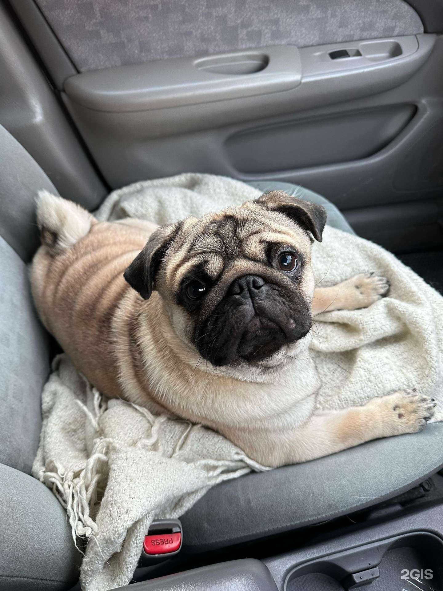 Отзывы на компанию Вега в г. Новосибирск c фото