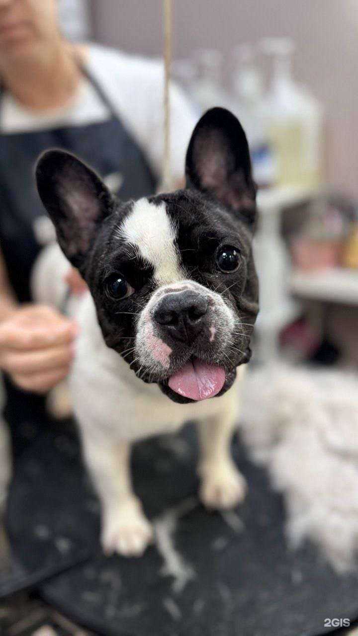 Отзывы на компанию Баловень в Новороссийске c фото