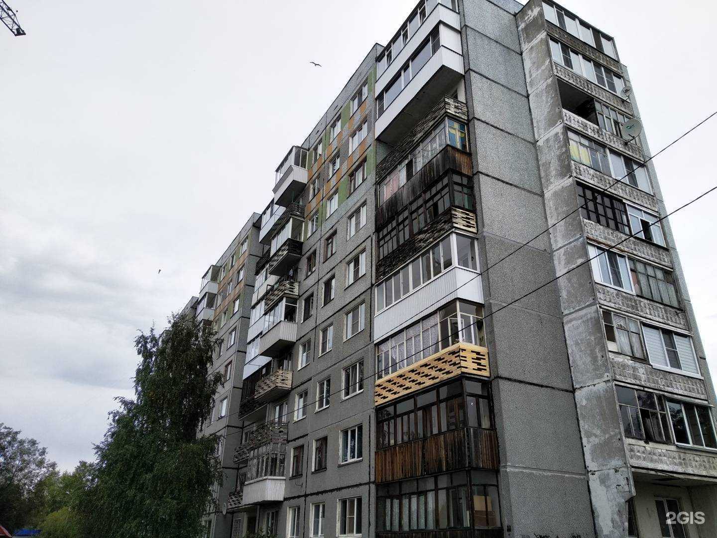 Отзывы на компанию Шелковица в Архангельске c фото - фотография 2 из 2