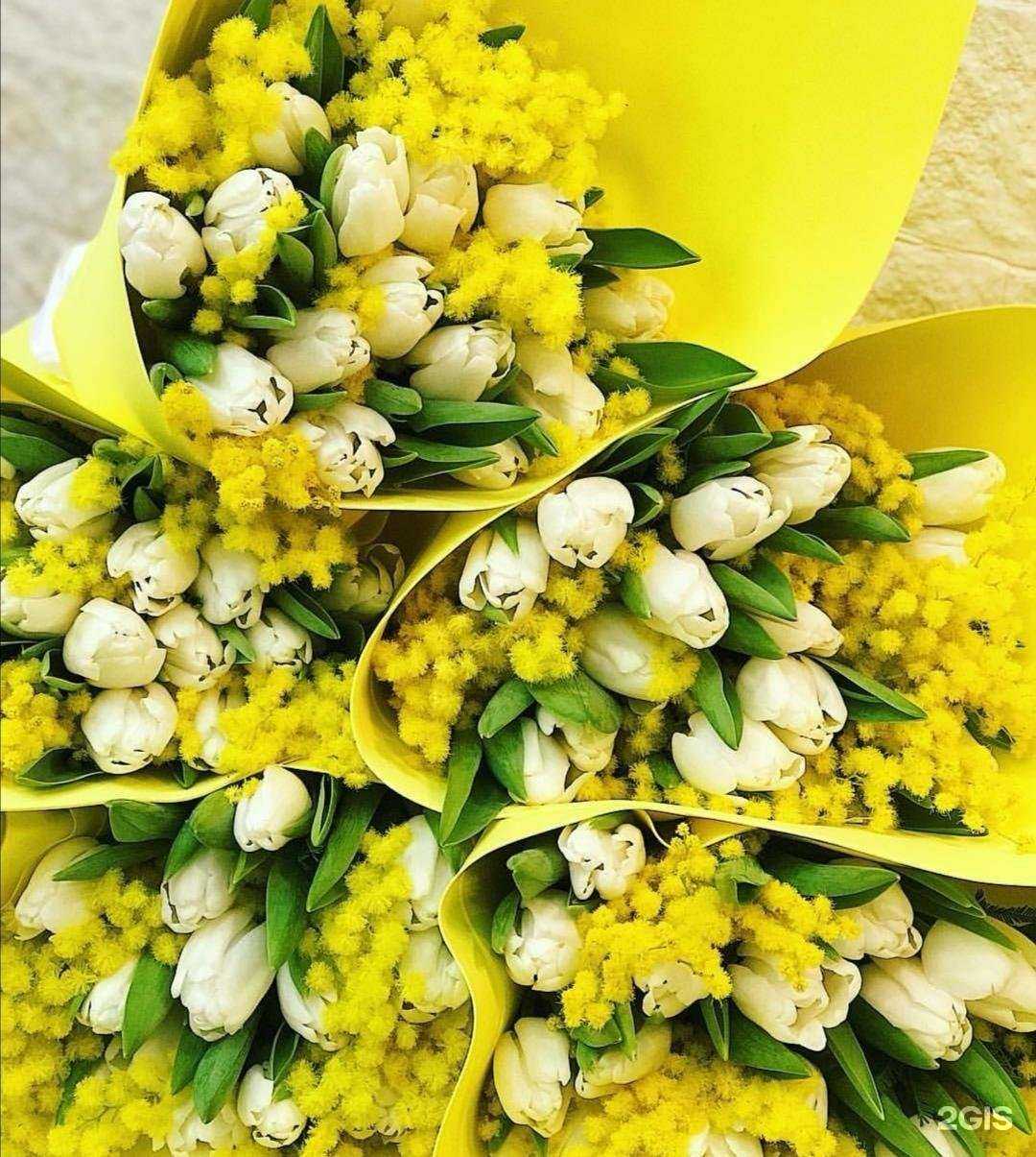 Отзывы на компанию Цветочный рыцарь в Кургане c фото